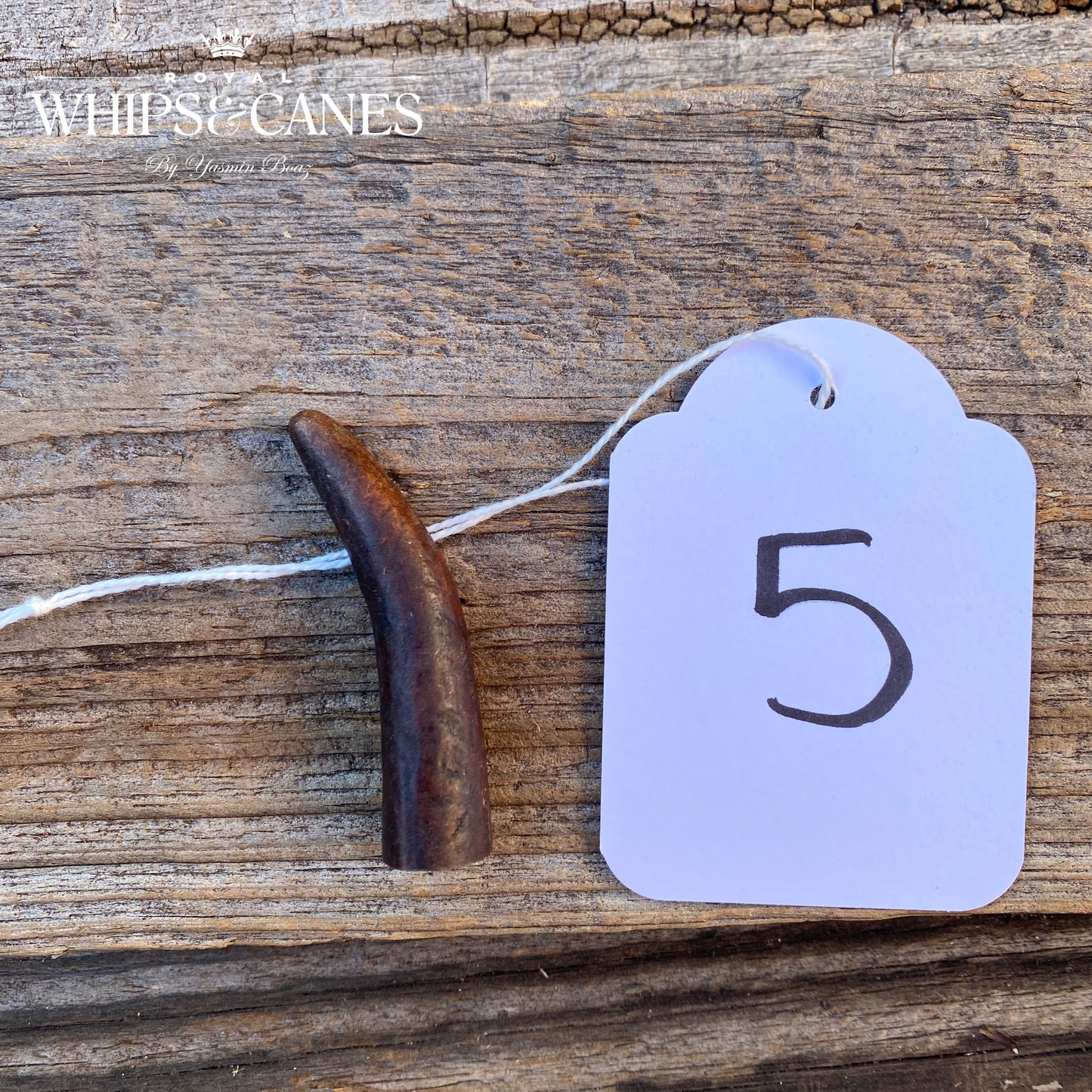Antler Tip