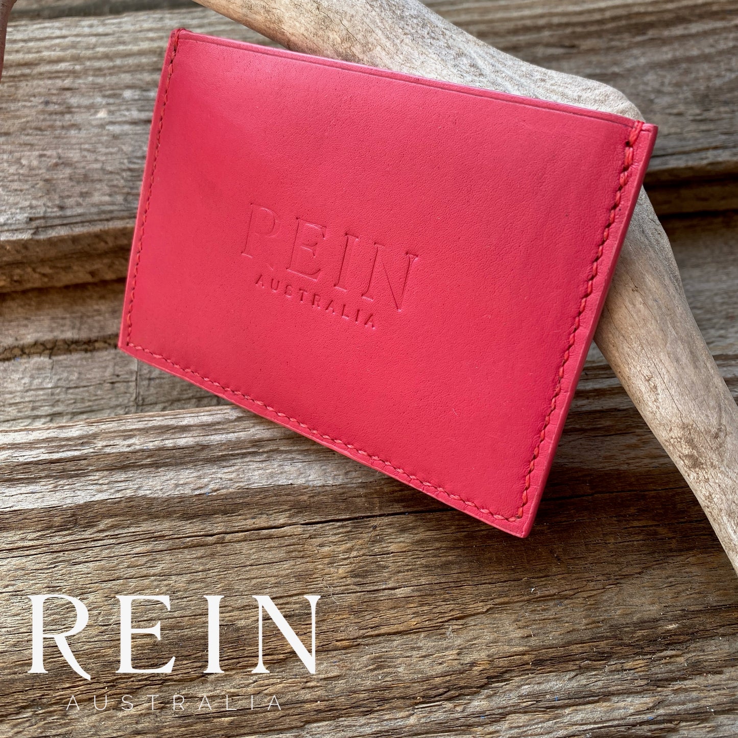 The Card Holder - Pink Cane Toad