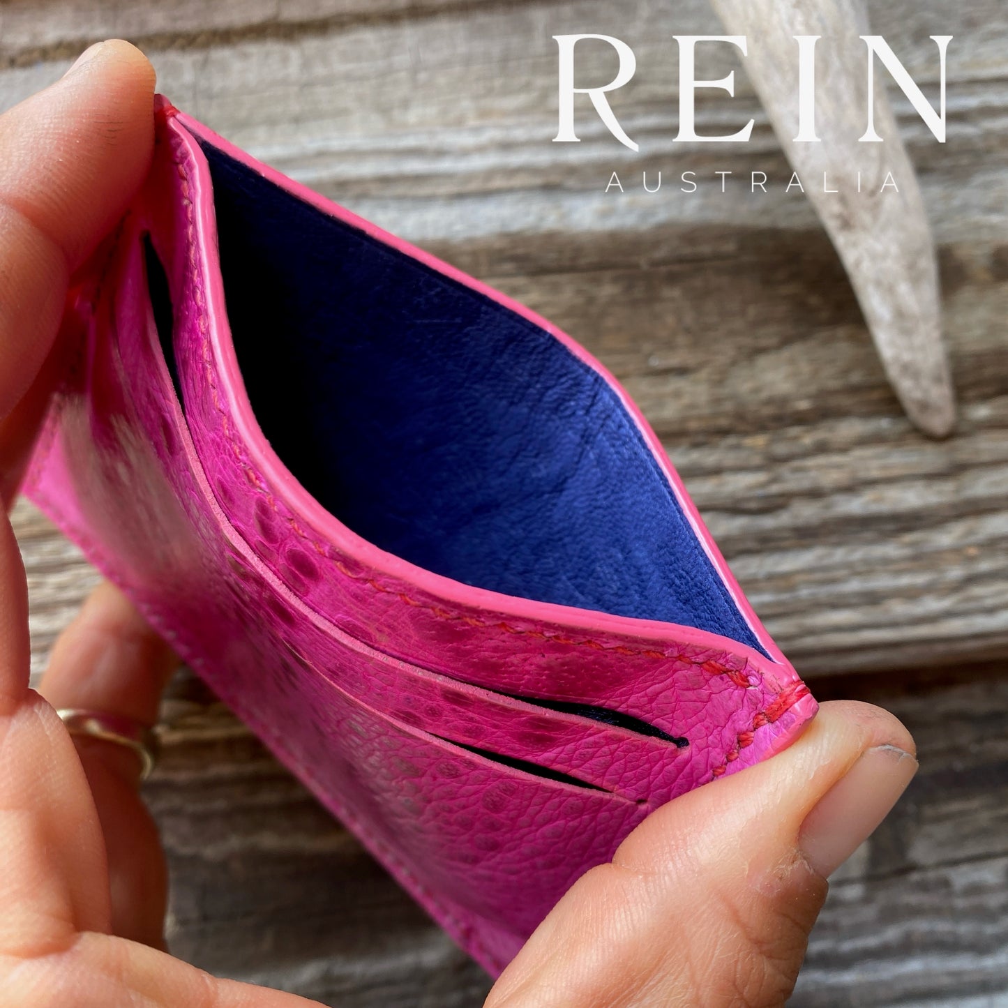 The Card Holder - Pink Cane Toad