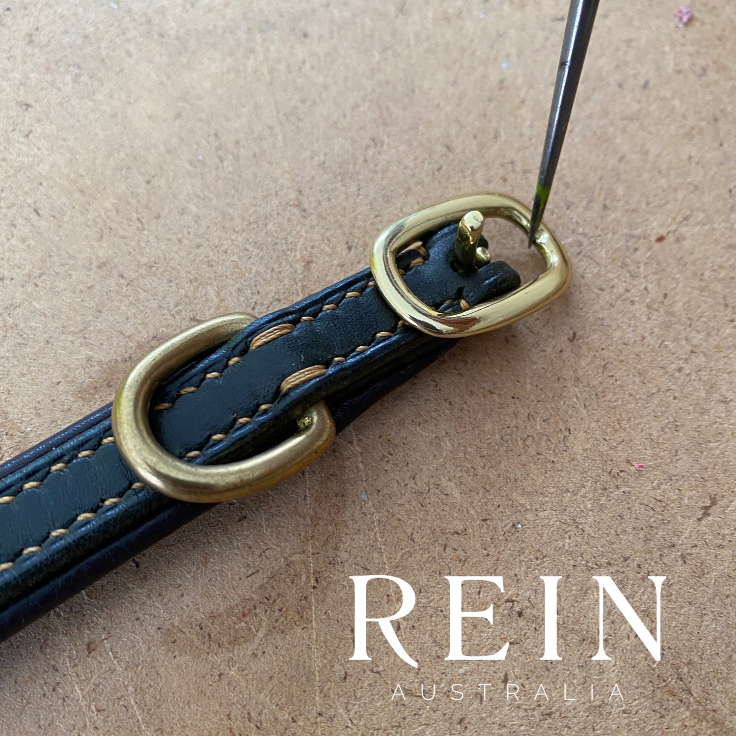 Padded Leather Dog Collar