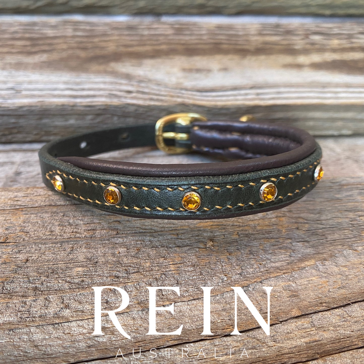 Padded Leather Dog Collar